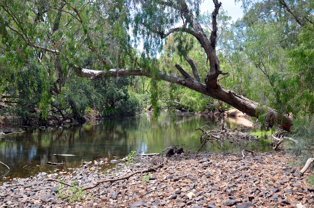 Finding a spot to launch your vessel is the first major hurdle.  Many of the established waterholes and creeks have steep banks. © Lee Brake
